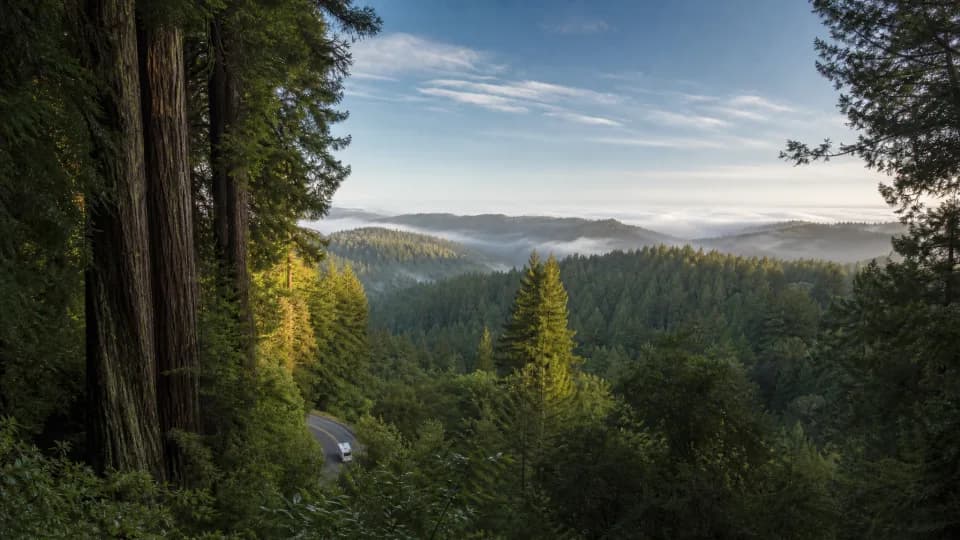 Henry Cowell and the Santa Cruz Mountains near Santa Cruz