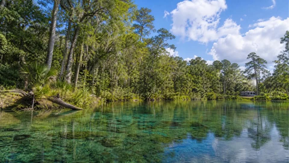 Ocala National Forest near Orlando