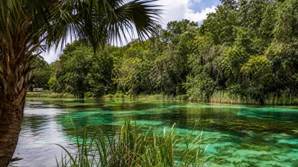 Wekiwa Springs and Blue Spring near Orlando