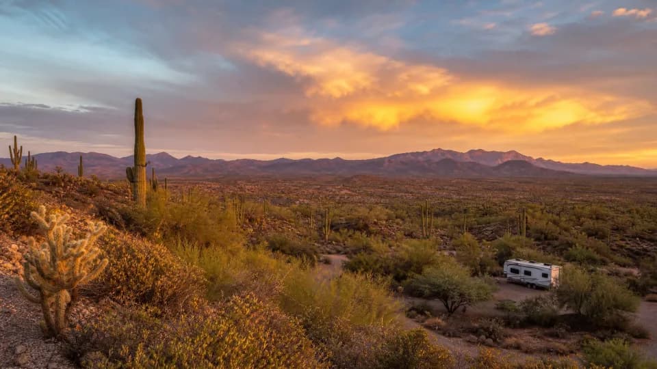 Saguaro National Park and Tucson near Phoenix