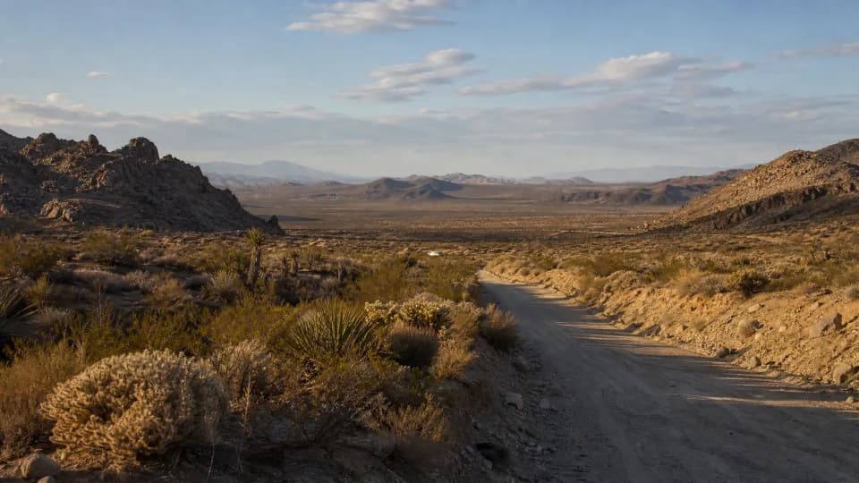 Mojave National Preserve near San Bernardino